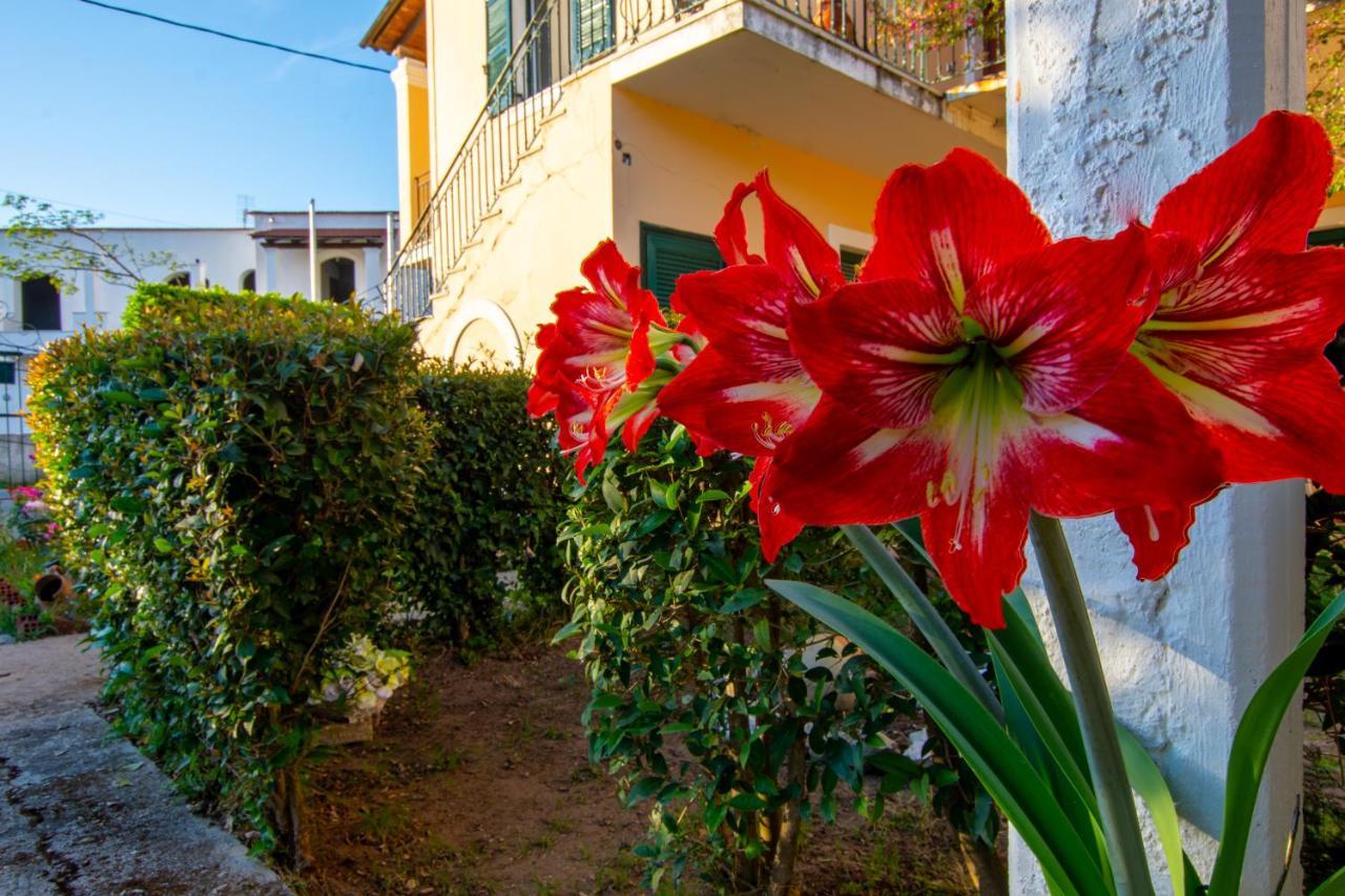 Classy & Traditional House With Fantastic View * Kanali (Corfu)