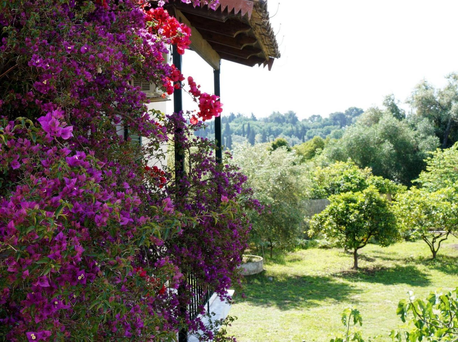 Villa Classy & Traditional House With Fantastic View Kanali (Corfu)