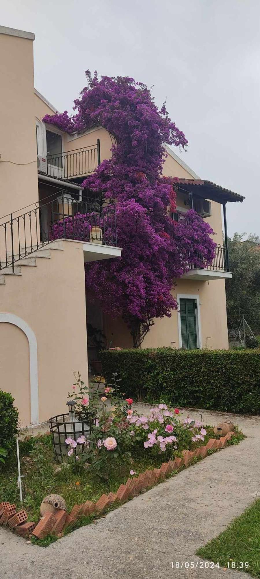 Classy & Traditional House With Fantastic View * Kanali (Corfu)